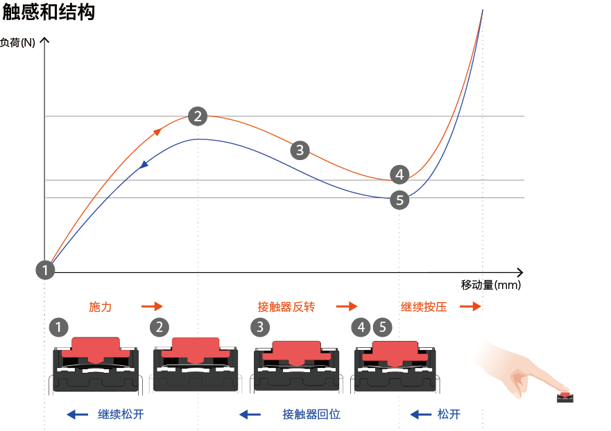 決定輕觸開關(guān)觸感的關(guān)鍵